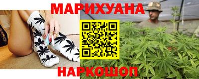 сатива Кимры