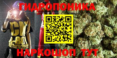прущие грибы Кинель