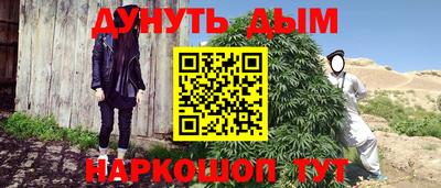 сатива Кимры