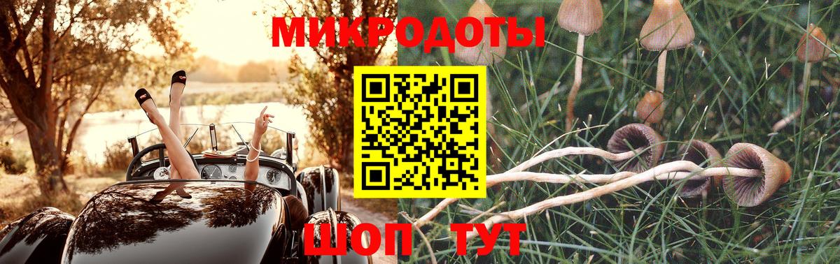 Псилоцибиновые грибы мицелий Кропоткин