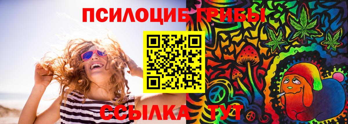Кропоткин  Галлюциногенные грибы прущие грибы  Вход с VPN  Псилоцибиновые грибы ЛСД 